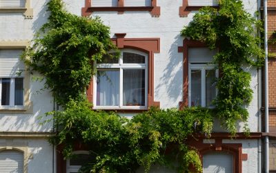 Ausschuss lehnt Bauvoranfrage zur Fassadenbegrünung mehrheitlich ab – GLP widerspricht und sieht Parkdruck als größeres Problem 