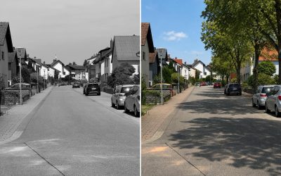 Plankstadt neu gedacht – mit mehr Grün und Schatten